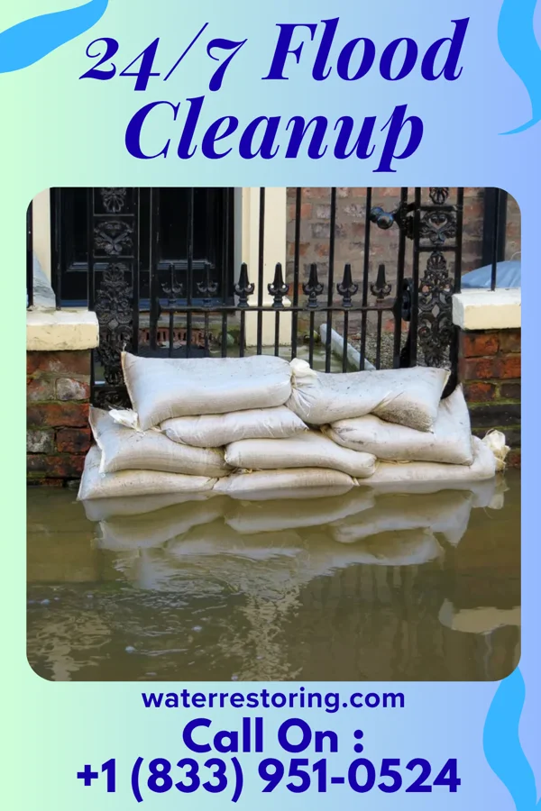 24/7 Flood Cleanup in Sardinia, OH