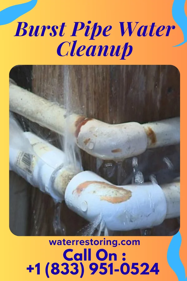 Burst Pipe Water Cleanup in Sardinia, OH