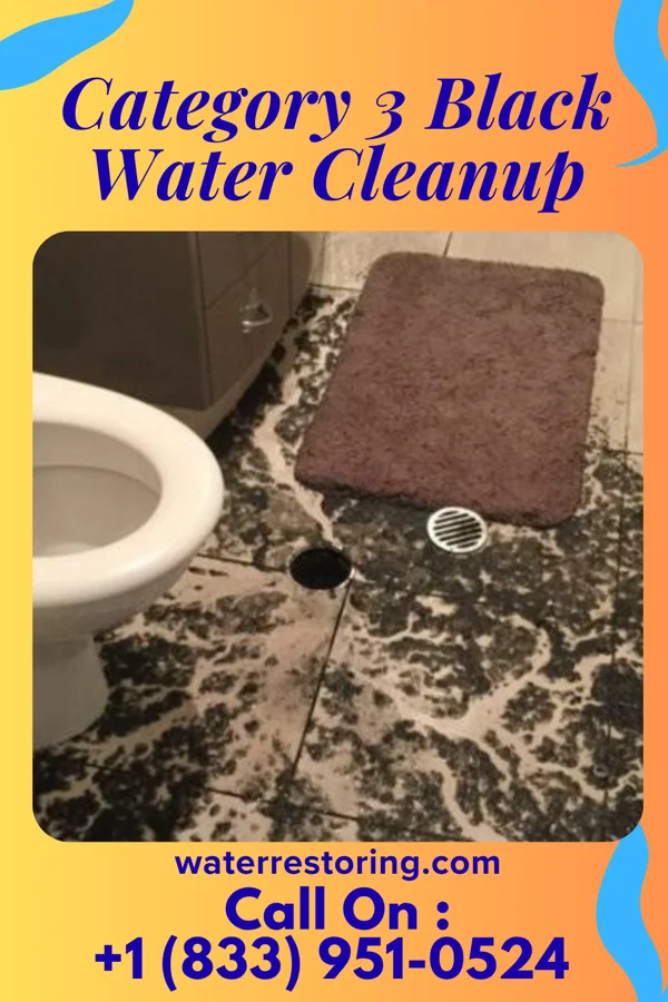 Category 3 Black Water Cleanup in Sardinia, OH
