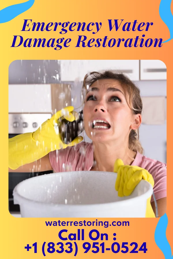 Emergency Water Damage Restoration in Sardinia, OH