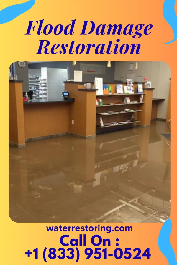 Flood Damage Restoration in Sardinia, OH