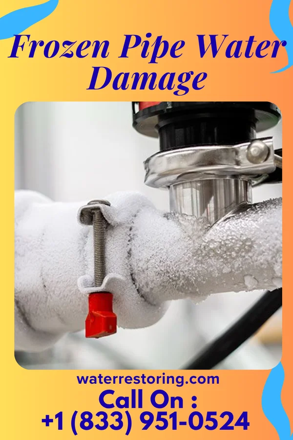 Frozen Pipe Water Damage in Sardinia, OH