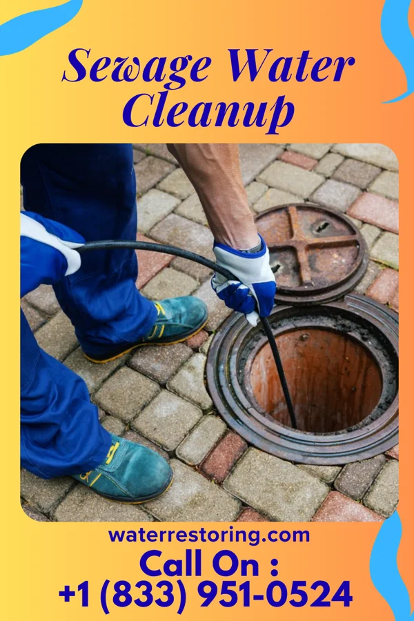 Sewage Water Cleanup in Sardinia, OH