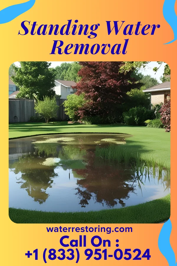 Standing Water Removal in Sardinia, OH